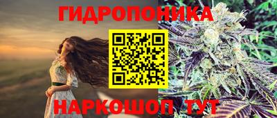 мяу мяу мука Ликино-Дулёво