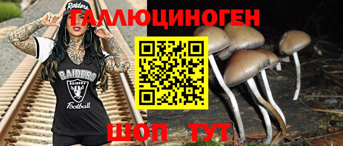 Галлюциногенные грибы прущие грибы Балтийск