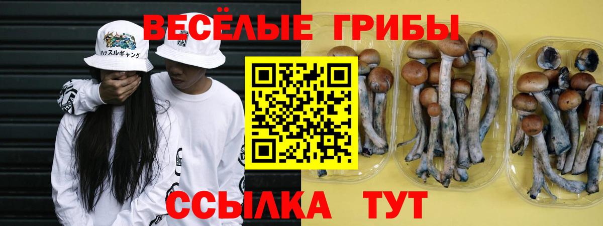 Галлюциногенные грибы Cubensis  Галлюциногенные грибы Magic Shrooms  Вход с VPN  Балтийск 